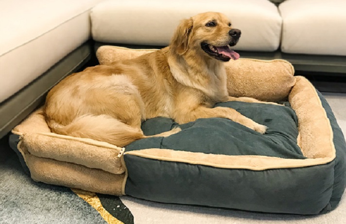 نحوه استفاده از تشک مخصوص پت نحوه استفاده از تشک مخصوص پت مبل شمرون