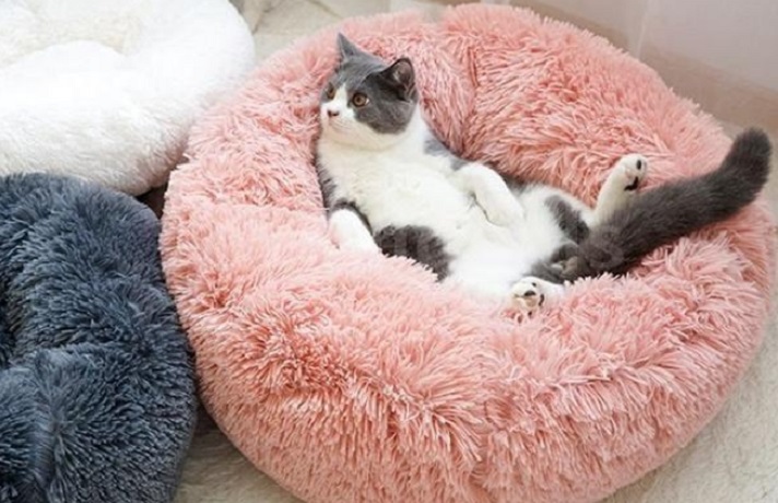 کاربرد و ویژگی های مناسب ترین تشک برای سگ و حیوانات خانگی کاربرد و ویژگی های مناسب ترین تشک برای سگ و حیوانات خانگی مبل شمرون