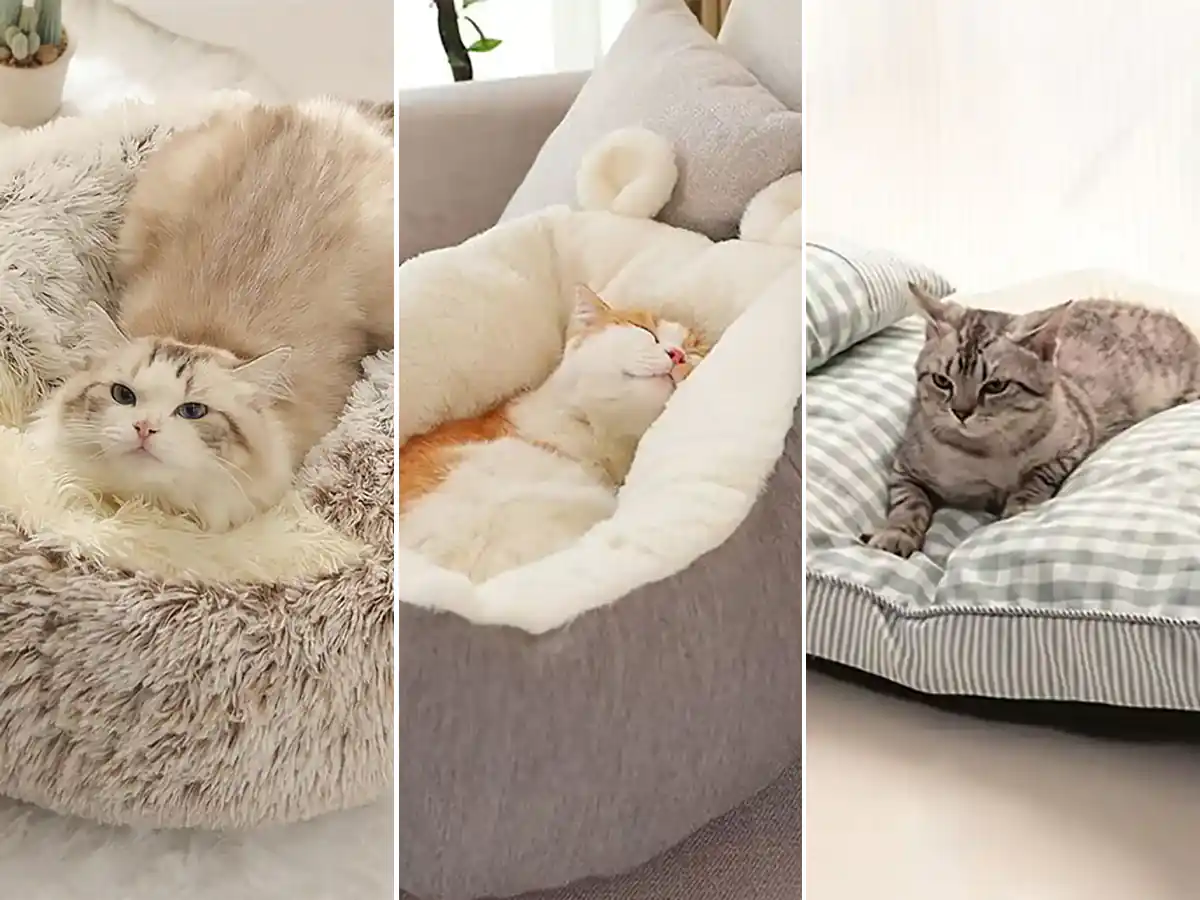 چه تشکی برای سگ و حیوانات خانگی مناسب است ؟ مبل شمرون